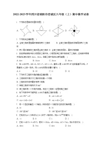 2022-2023学年四川省绵阳市涪城区八年级（上）期中数学试卷（含答案解析）