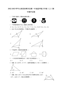 2022-2023学年云南省昆明市官渡一中冠益学校八年级（上）期中数学试卷（含答案解析）