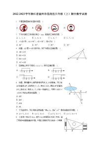 2022-2023学年浙江省温州市苍南县八年级（上）期中数学试卷（含答案解析）