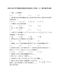 2022-2023学年陕西省商洛市洛南县七年级（上）期中数学试卷（含答案解析）