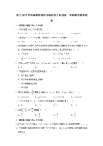 湖南省郴州市临武县2022-2023学年九年级上学期期中数学试卷(含答案)