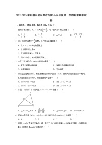 湖南省岳阳市岳阳县2022-2023学年九年级上学期期中数学试卷(含答案)