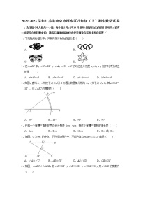 江苏省南京市溧水区2022-2023学年八年级上学期期中考试数学试卷(含答案)