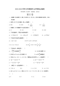 山东省临沂市兰山区第十二中学2022-2023学年七年级数学上学期期中线上检测试题 (含答案)