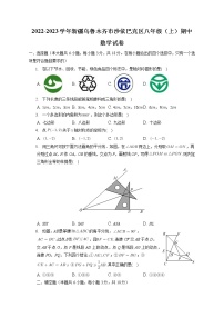 新疆乌鲁木齐市沙依巴克区2022-2023学年八年级上学期期中数学试卷(含答案)