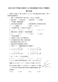 浙江省杭州市十五中教育集团2022-2023学年八年级上学期期中数学试卷(含答案)