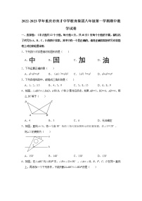 重庆市育才中学教育集团2022-2023学年八年级上学期期中数学试卷(含答案)