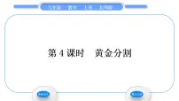 初中数学北师大版九年级上册4 探索三角形相似的条件习题课件ppt