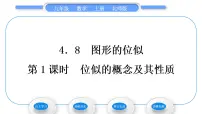 北师大版九年级上册8 图形的位似习题ppt课件