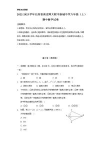 2022-2023学年江苏省南京师大附中新城中学八年级（上）期中数学试卷（含解析）