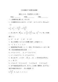 北师大版九年级数学下册期中检测题习题