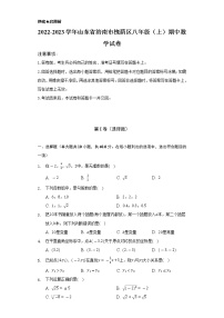 2022-2023学年山东省济南市槐荫区八年级（上）期中数学试卷（含解析）