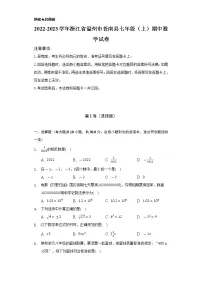 2022-2023学年浙江省温州市苍南县七年级（上）期中数学试卷（含解析）
