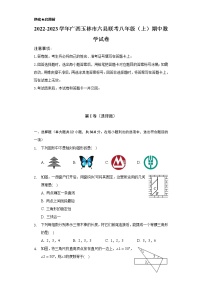 2022-2023学年广西玉林市六县联考八年级（上）期中数学试卷（含解析）