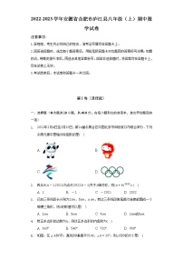 2022-2023学年安徽省合肥市庐江县八年级（上）期中数学试卷（含解析）