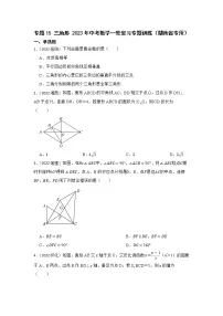 专题15 三角形 2023年中考数学一轮复习专题训练（湖南省专用）