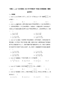 专题6 二元一次方程组 2023年中考数学一轮复习专题训练（湖南省专用）