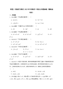 专题2 代数式与整式 2023年中考数学一轮复习专题训练（湖南省专用）