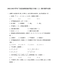 2022-2023学年广东省深圳实验学校八年级（上）期中数学试卷（含解析）