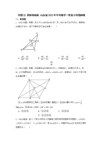 专题22 图形的相似 山东省2023年中考数学一轮复习专题训练