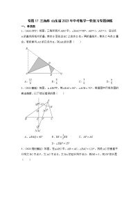 专题17 三角形 山东省2023年中考数学一轮复习专题训练