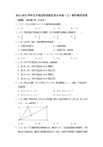 _辽宁省沈阳市新民市2022-2023学年九年级上学期期中数学试卷 (含答案)