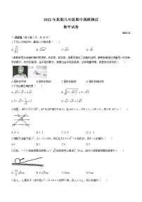 河南省南阳市镇平县2022-2023学年九年级上学期期中数学试题(含答案)