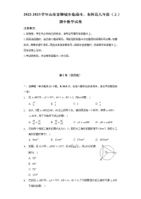 山东省聊城市临清市、东阿县2022-2023学年九年级上学期期中数学试卷(含答案)