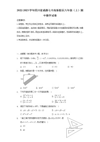 2022-2023学年四川省成都七中高新校区八年级（上）期中数学试卷（含解析）