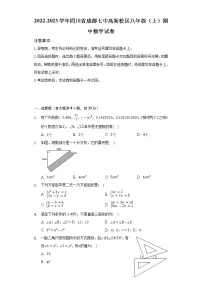 2022-2023学年四川省成都七中高新校区八年级(上)期中数学试卷(含解析)