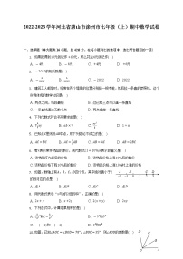 河北省唐山市滦州市2022-2023学年七年级上学期期中数学试卷（含答案）