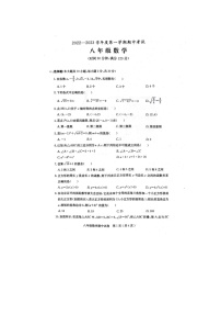 广东省茂名市电白区2022-2023学年八年级上学期期中考试数学试卷（含答案）