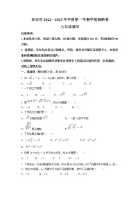 吉林省长春市农安县新农乡初级中学2022-2023学年八年级上学期期中数学试题