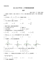 四川省成都市锦江区成都嘉祥外国语学校2022-2023学年八年级上学期期中数学试题（含答案）