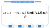 华师大版5.一元二次方程的根与系数的关系习题ppt课件