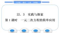 华师大版九年级上册第22章 一元二次方程22.3 实践与探索习题课件ppt
