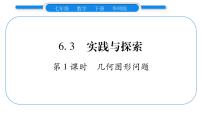 初中数学华师大版七年级下册6.3 实践与探索习题课件ppt