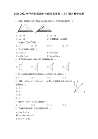 2021-2022学年河北省邢台市威县七年级（上）期末数学试卷（含答案解析）