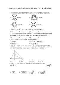 2021-2022学年河北省保定市雄县九年级（上）期末数学试卷（含答案解析）