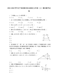 2021-2022学年辽宁省沈阳市沈北新区九年级（上）期末数学试卷（含答案解析）