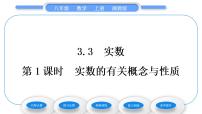 湘教版八年级上册3.3 实数习题课件ppt