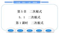 初中数学湘教版八年级上册5.1 二次根式习题ppt课件