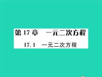 数学八年级下册17.1 一元二次方程习题ppt课件