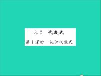 冀教版七年级上册3.2 代数式习题课件ppt