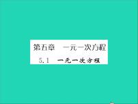 2021学年5.1一元一次方程习题ppt课件