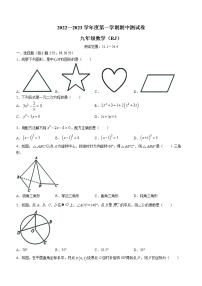 河南省漯河市召陵区青年镇初级中学2022-2023学年九年级上学期期中数学试题(含答案)