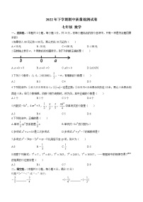 湖南省岳阳市临湘市2022-2023学年七年级上学期期中质量检测数学试题(含答案)