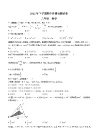 湖南省岳阳市临湘市2022-2023学年八年级上学期期中质量检测数学试题(含答案)