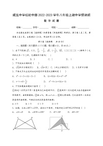 四川省内江市威远中学校2022-2023学年八年级上期期中学情调研数学试题(含答案)