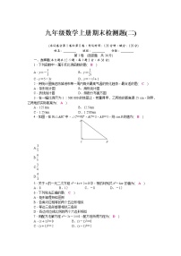 湘教版九年级数学上册期末检测题（二）（word版，含答案）